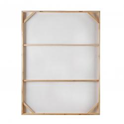 CUADRO FLOWER WOMAN ROSA