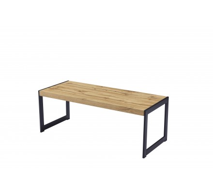 mesa de centro modelo rustico 120X50