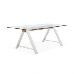 MESA CENTRO CRISTAL MODELO MISCO 120X60 VARIOS COLORES