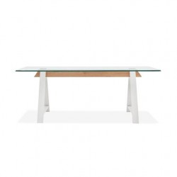 MESA CENTRO CRISTAL MODELO MISCO 120X60 VARIOS COLORES