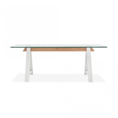 MESA CENTRO CRISTAL MODELO MISCO 120X60 VARIOS COLORES