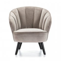 BUTACA MODELO 895 TERCIOPELO PLATA